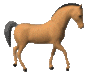:dieren1_15: